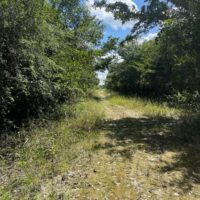 Block 4, Parcels 514/515/516, Orange Walk District - Image 4