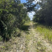 Block 4, Parcels 514/515/516, Orange Walk District - Image 3