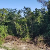 Parcel No. 2837, Block No. 23, San Ignacio South, San Ignacio Town, Cayo District – LICU - Image 4