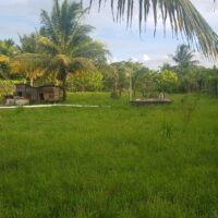 Lot No.-184 attached to Plan No.-2146 situated in St. Matthews Village, Cayo District – LICU - Image 6
