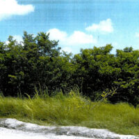 Parcel No.1021, Block 1, San Estevan, Orange Walk District – LICU - Image 2
