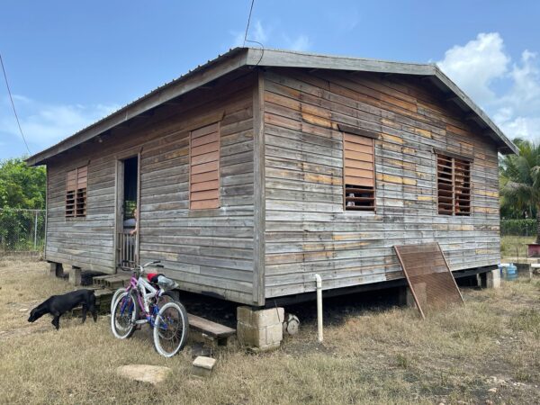 Lot No.-184 attached to Plan No.-2146 situated in St. Matthews Village, Cayo District – LICU