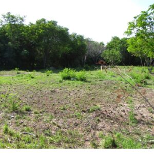 Parcel No. 1107/1, Block No. 3, Sarteneja Village, Corozal District - LICU