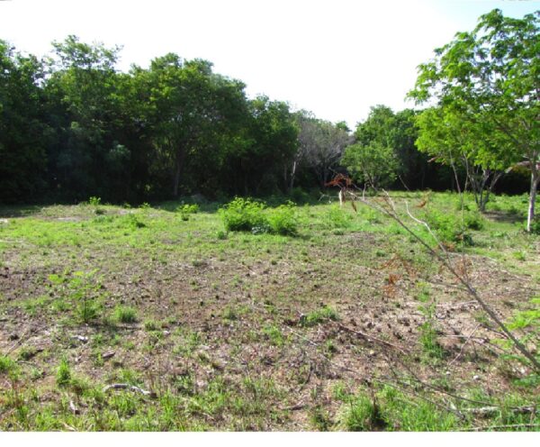Parcel No. 1107/1, Block No. 3, Sarteneja Village, Corozal District – LICU