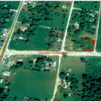 Parcel No. 414, Block 1, Caledonia/ Buena Vista, Corozal District – LICU - Image 3