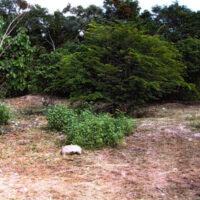 Parcel No. 1144/1, Block 3, Sarteneja, Corozal District – LICU - Image 3