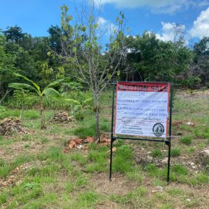 Parcel No. 1144/1, Block 3, Sarteneja, Corozal District - LICU