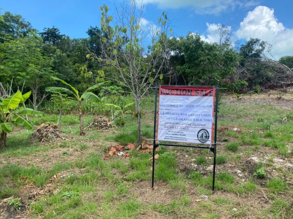 Parcel No. 1144/1, Block 3, Sarteneja, Corozal District – LICU