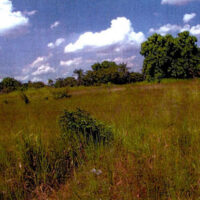 Parcel No. 816, Block 4, San Jose Palmar, Orange Walk District – LICU - Image 3