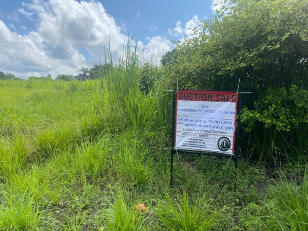 Parcel No. 816, Block 4, San Jose Palmar, Orange Walk District – LICU