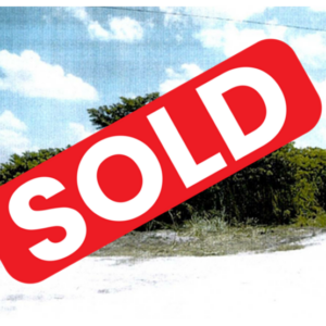 Parcel No.1021, Block 1, San Estevan, Orange Walk District - LICU