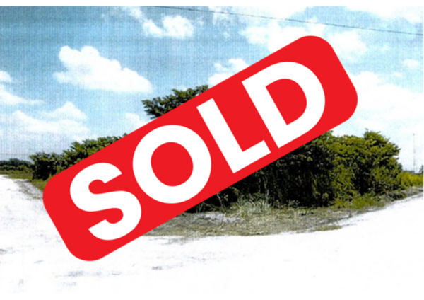 Parcel No.1021, Block 1, San Estevan, Orange Walk District – LICU