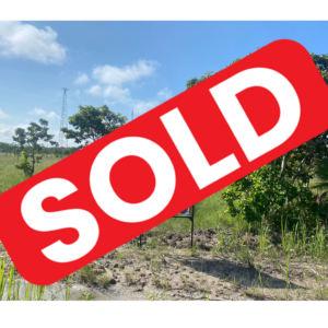 Parcel No. 1173, Block No. 4, Carmelita, Orange Walk District - LICU