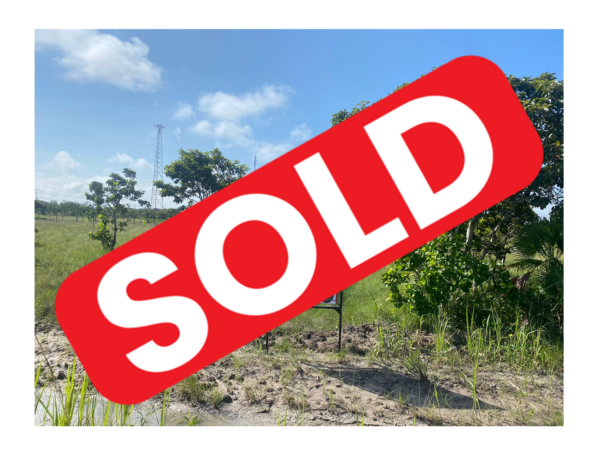 Parcel No. 1173, Block No. 4, Carmelita, Orange Walk District – LICU