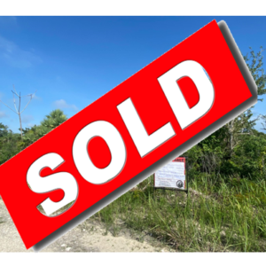 Parcel No. 1311, Block 4, Carmelita, Orange Walk District - LICU