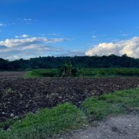 FOR SALE PROPERTY REGISTRATION SECTION SOCIETY HALL, PARCEL: 3449, BLOCK: 24, CAYO DISTRICT - Image 6