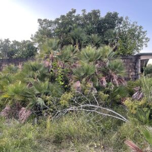 Parcel No. 1618, Block 11, Situated in Sandhill Area, Belize District - LICU
