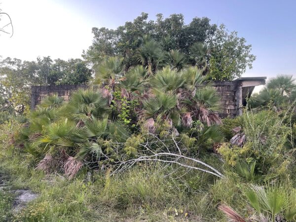 Parcel No. 1618, Block 11, Situated in Sandhill Area, Belize District – LICU
