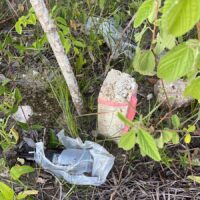 Parcel No. 1618, Block 11, Situated in Sandhill Area, Belize District – LICU - Image 3