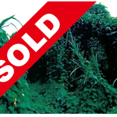 Block #365B, Mile 14, Hummingbird Highway, Stann Creek District – ASC