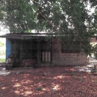 Parcel 224, Block 1, San Jose/San Pablo, Orange Walk District – ASC - Image 11