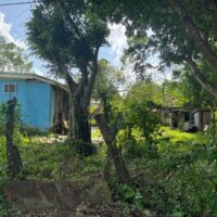 Parcel 224, Block 1, San Jose/San Pablo, Orange Walk District – ASC - Image 9