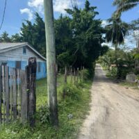 Parcel 224, Block 1, San Jose/San Pablo, Orange Walk District – ASC - Image 6