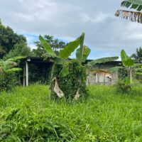 Lot #143, Maya Mopan Village, Stann Creek District – ASC - Image 7