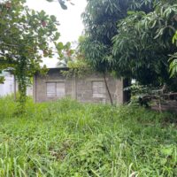 Lot #143, Maya Mopan Village, Stann Creek District – ASC - Image 5