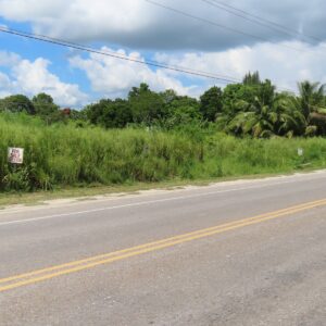 Parcel No. 958, Block No.1, San Jose/San Pablo, Orange Walk District. LICU