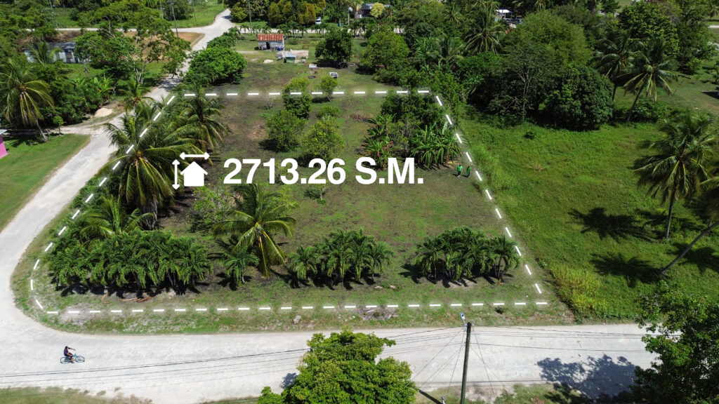 Parcel No. 235, Block 1, Situated in San Narciso, Corozal District – LICU - Image 7