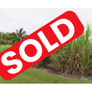 Parcel No. 229, Block 1, Situated in Ramonal Zapote, Corozal District - LICU