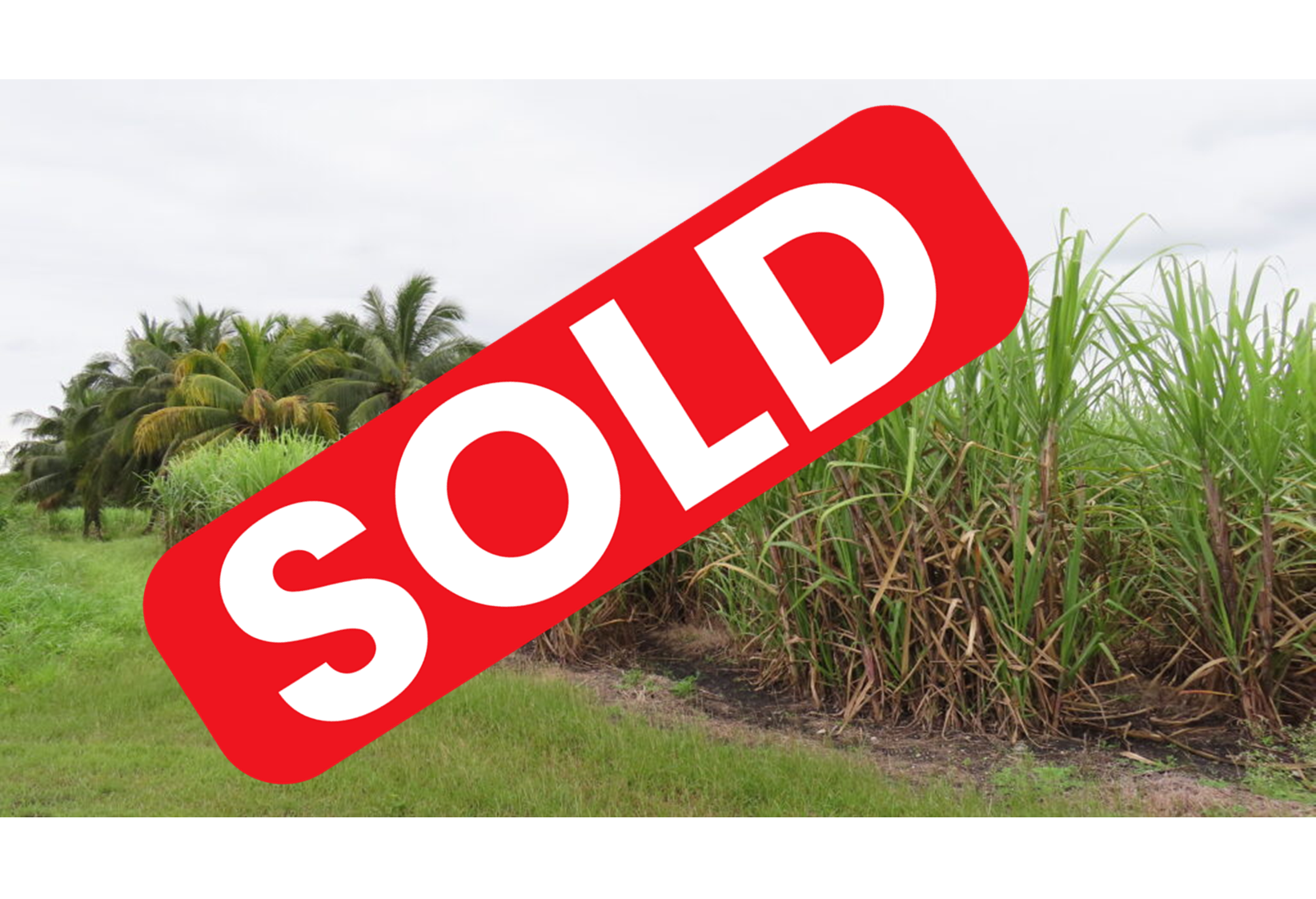 Parcel No. 229, Block 1, Situated in Ramonal Zapote, Corozal District – LICU
