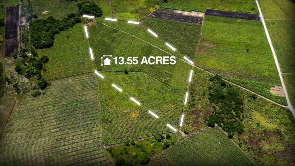 Parcel No. 229, Block 1, Situated in Ramonal Zapote, Corozal District – LICU - Image 4