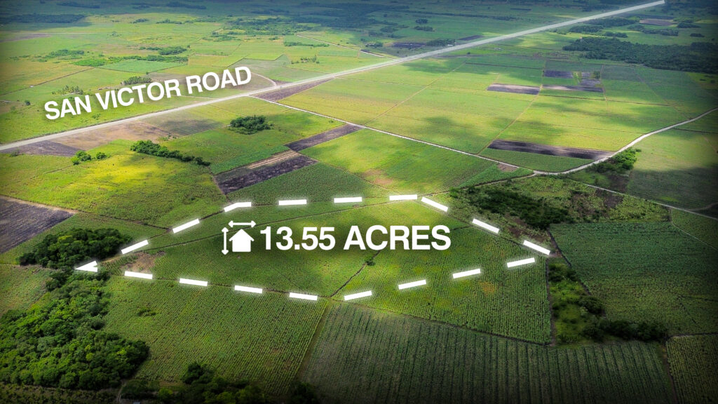 Parcel No. 229, Block 1, Situated in Ramonal Zapote, Corozal District – LICU - Image 3