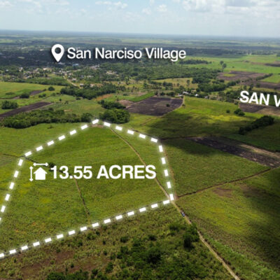 Parcel No. 229, Block 1, Situated in Ramonal Zapote, Corozal District – LICU