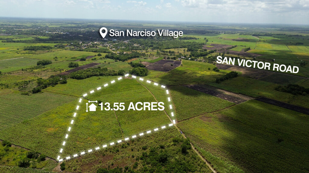 Parcel No. 229, Block 1, Situated in Ramonal Zapote, Corozal District – LICU - Image 2