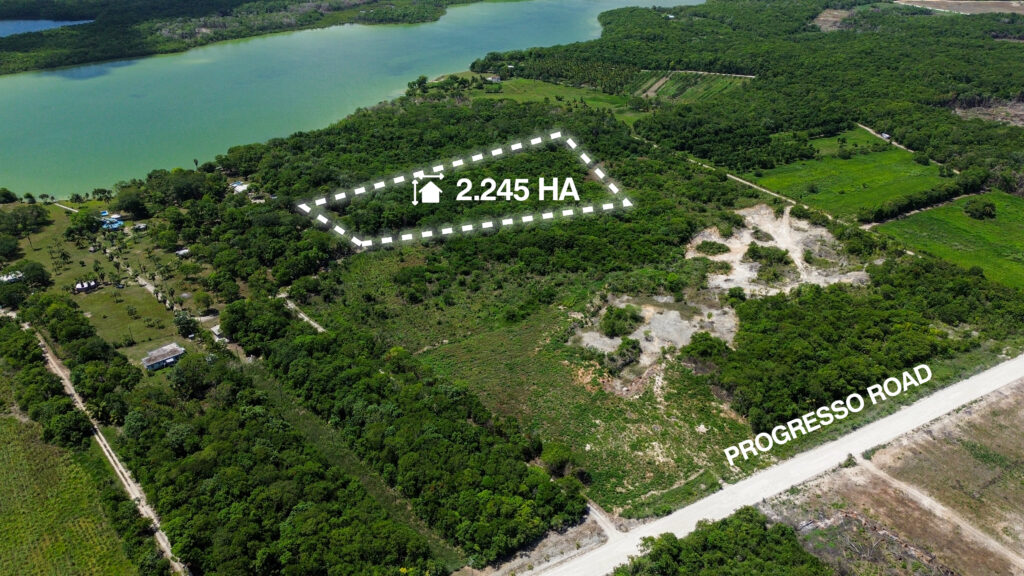 Parcel No. 967/1, Block 1, Situated in Progresso, Corozal District – LICU - Image 2