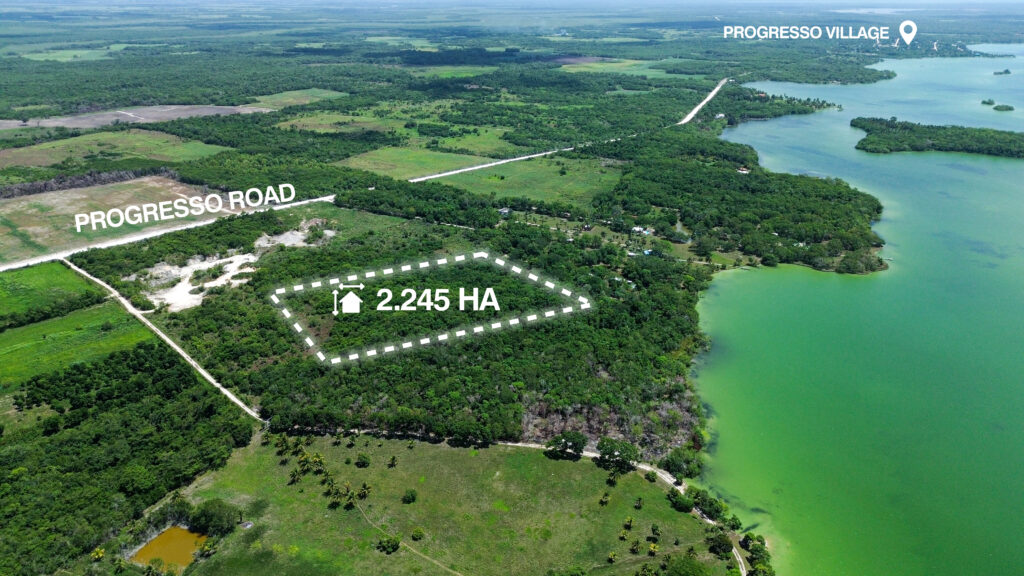 Parcel No. 967/1, Block 1, Situated in Progresso, Corozal District – LICU - Image 3