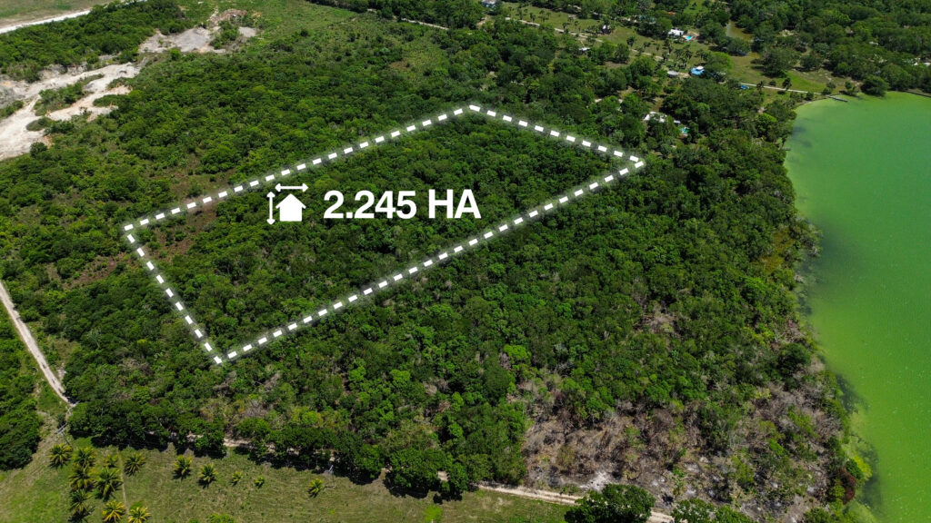 Parcel No. 967/1, Block 1, Situated in Progresso, Corozal District – LICU - Image 4