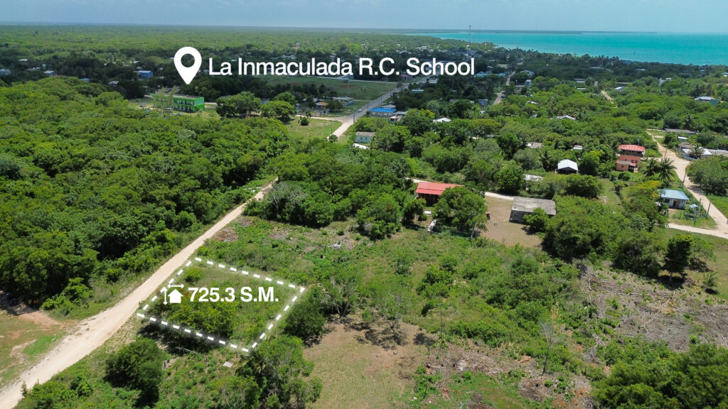 Parcel No. 1107, Block No. 3, Sarteneja Village, Corozal District – LICU - Image 5