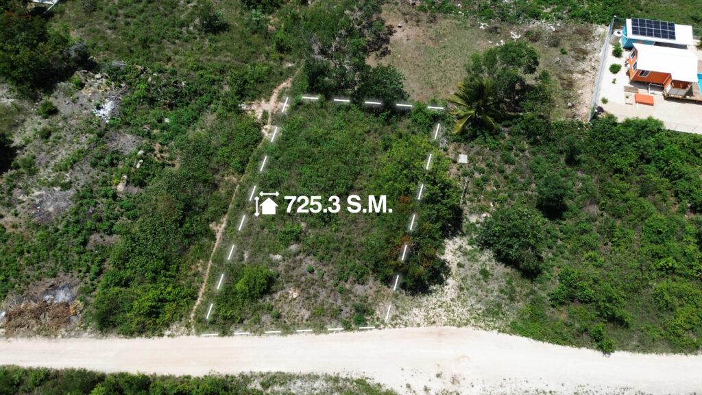 Parcel No. 1107, Block No. 3, Sarteneja Village, Corozal District – LICU - Image 3