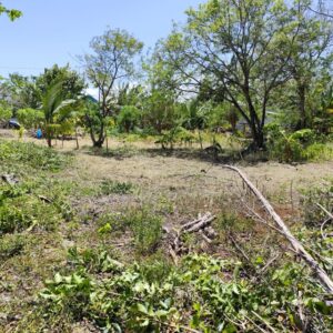 Parcel No. 1144/1, Block 3, Sarteneja, Corozal District - LICU
