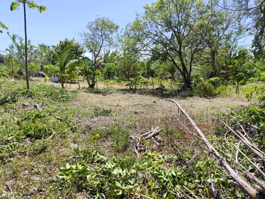 Parcel No. 1144/1, Block 3, Sarteneja, Corozal District – LICU