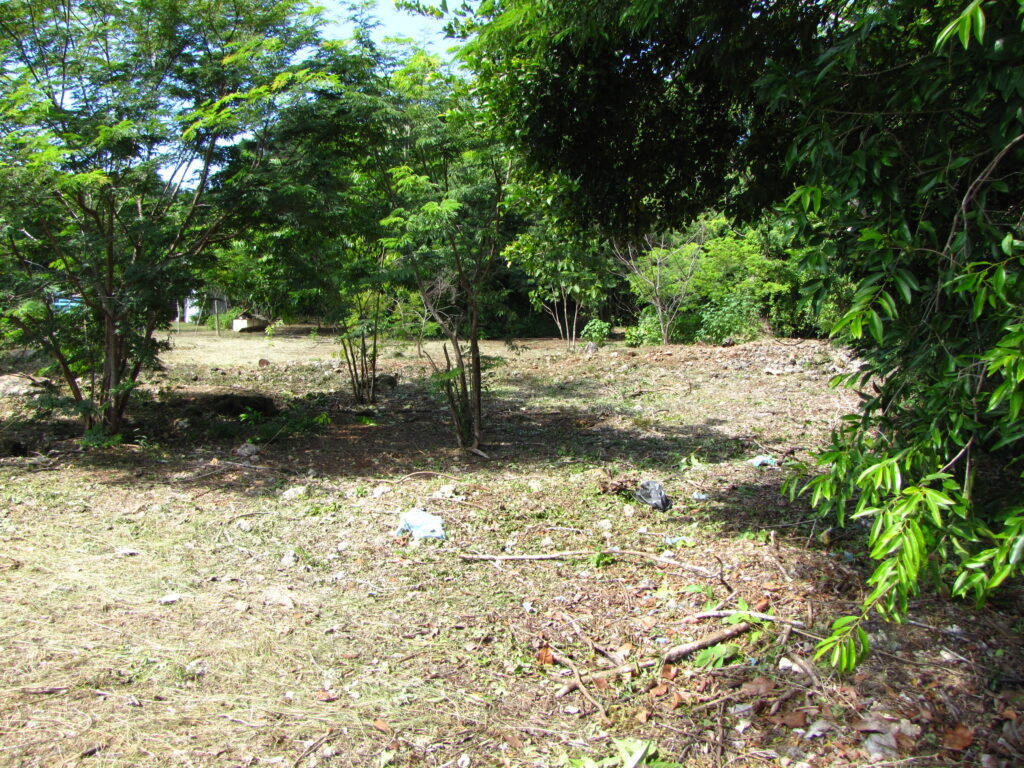 Parcel No. 1144/1, Block 3, Sarteneja, Corozal District – LICU - Image 3