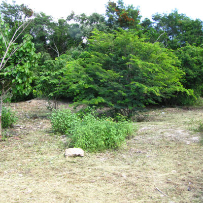 Parcel No. 1144/1, Block 3, Sarteneja, Corozal District – LICU