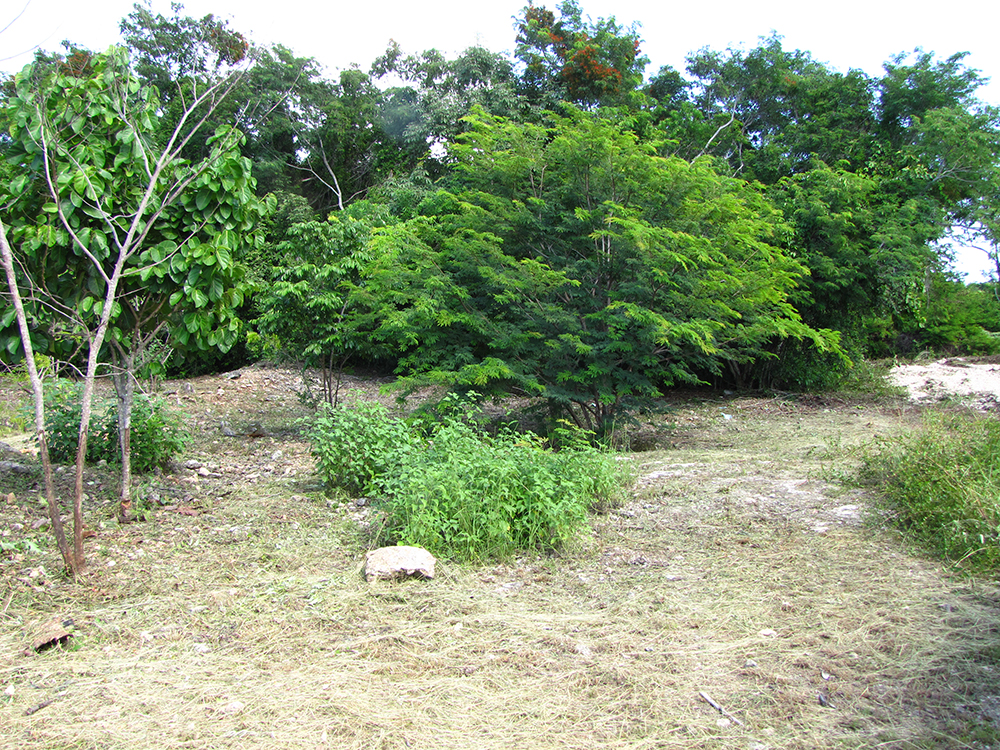Parcel No. 1144/1, Block 3, Sarteneja, Corozal District – LICU - Image 2